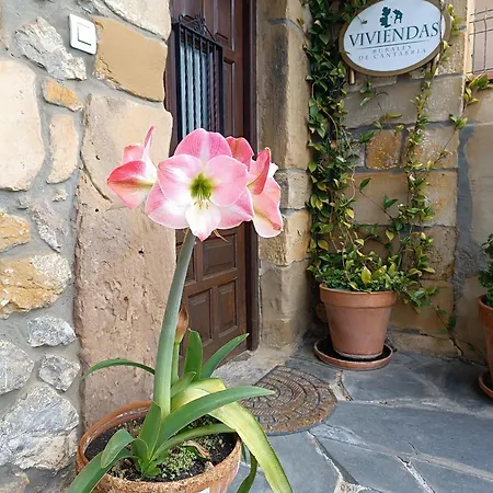 Holiday home El Coteru *
